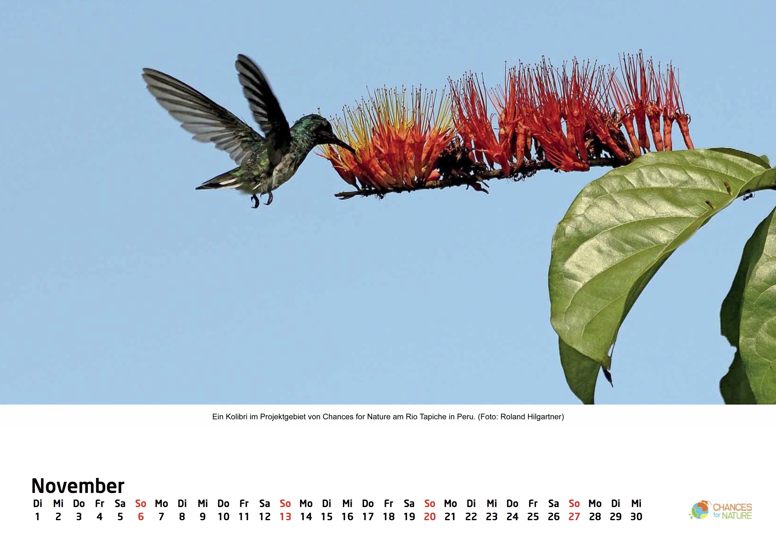 Chances for Nature Kalender 2016!!!
