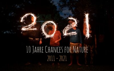 Wir feiern 10 Jahre Chances for Nature